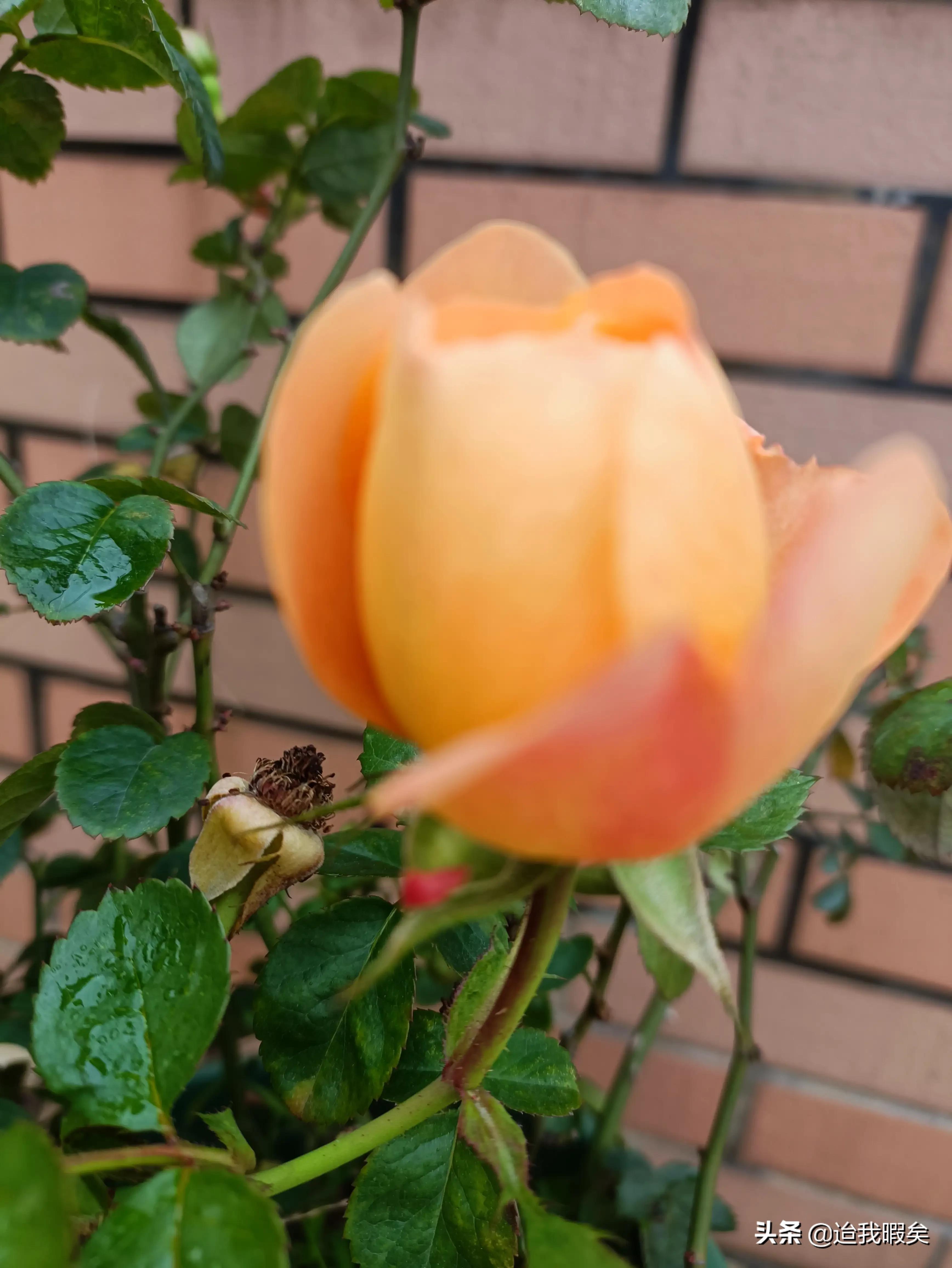 98%亲子鉴定非亲生,亲子鉴定孩子不是自己亲生的怎么办？