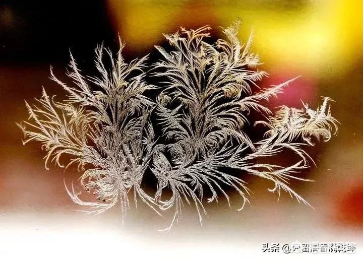 行长违法放贷5亿元,女行长为前夫违规放贷超亿元，至今7600多万未收回，银行内控怎么回事？