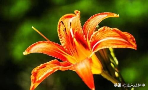 离职6年仍是负责人,离职6年仍是负责人怎么办 离职6年仍是负责人,离职6年仍是负责人怎么办