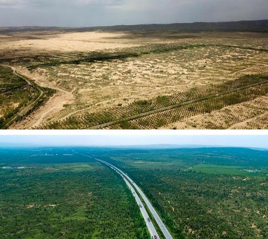 黄土高原变绿了,陕西黄土高坡怎么变绿了?