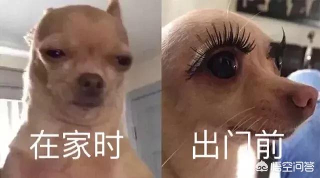 全球有7艾滋病治愈者,全球有几个艾滋病治愈患者