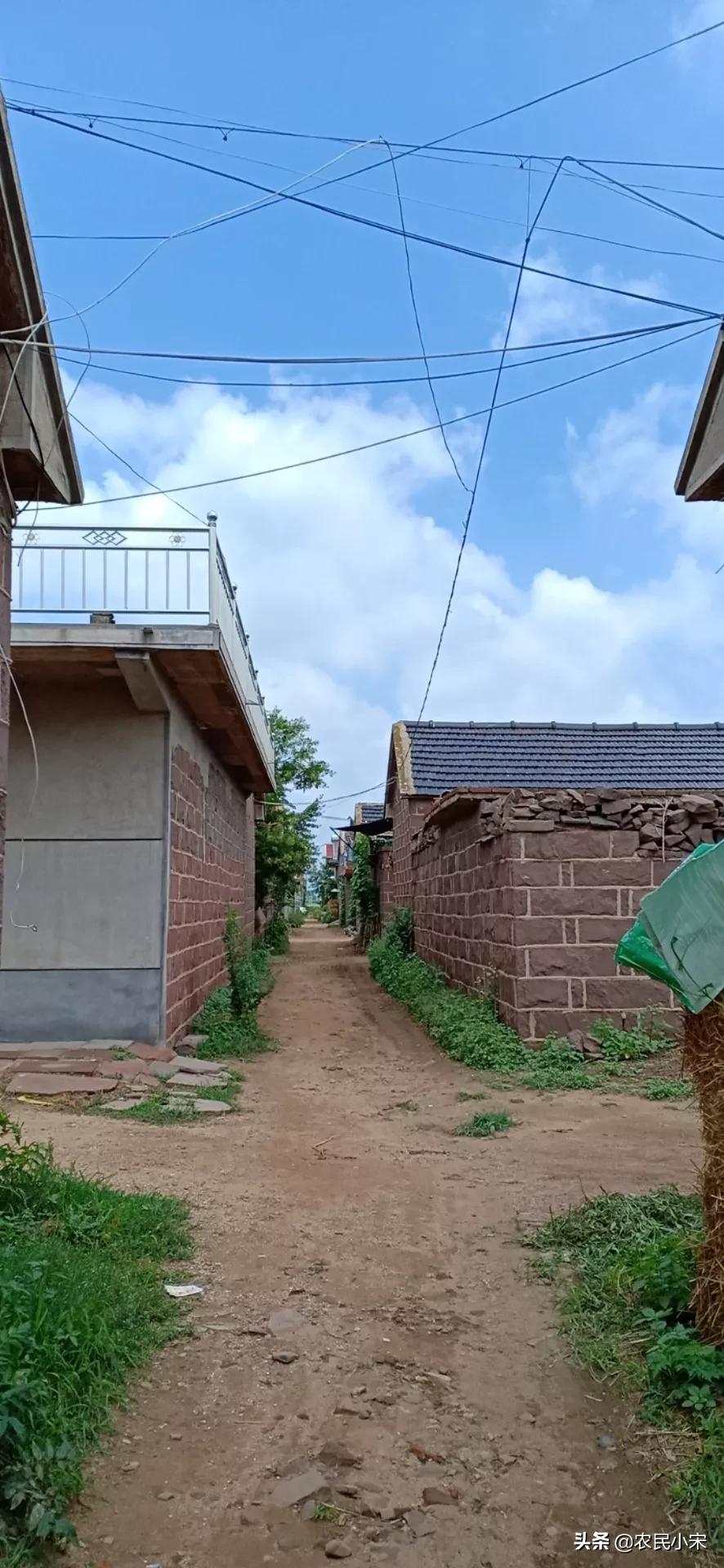 16岁少年救人溺亡,16岁少年救人溺亡怎么办