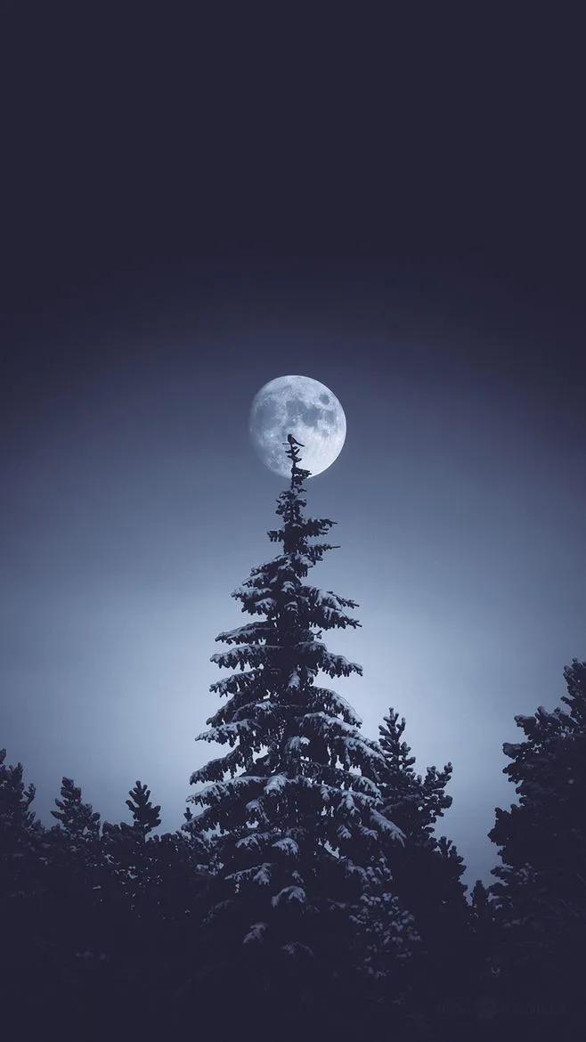 普京警告欧洲,普京警告欧洲导弹