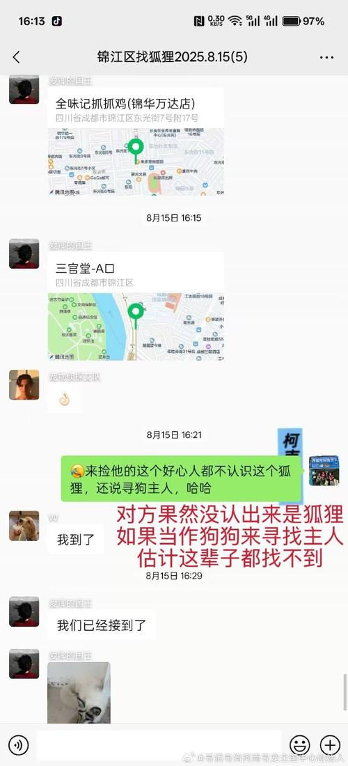 职业寻宠师月入万元,找猫团队靠谱吗?
