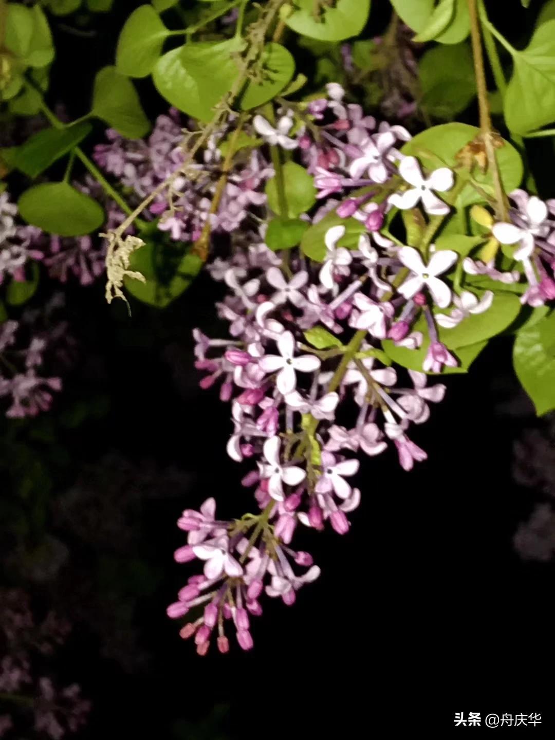 钟南山每天都学习,看了《钟南山》纪录片，你觉得应该学习他哪种精神？