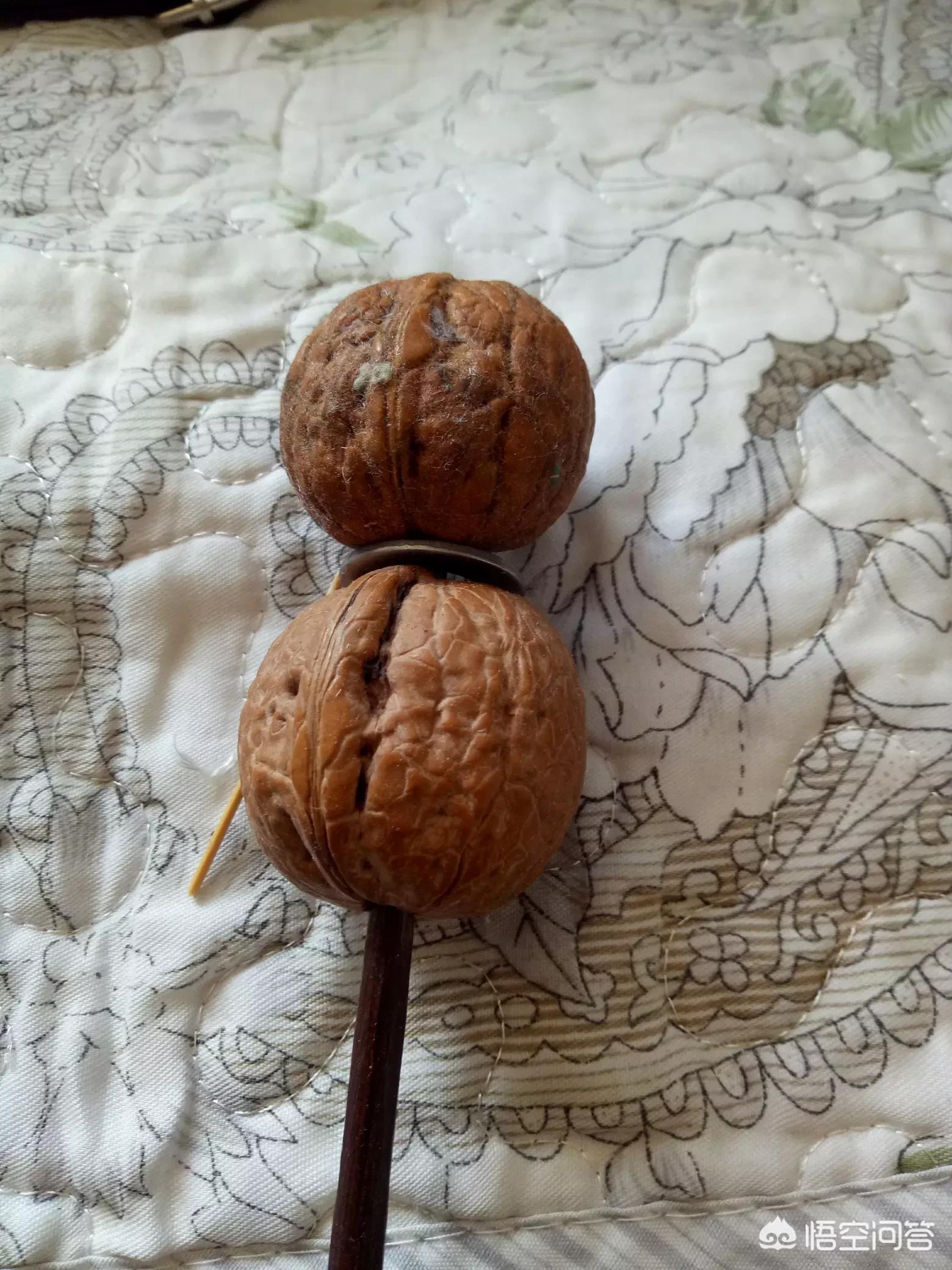 80后爬树成全国冠军,80后爬树成全国冠军了吗