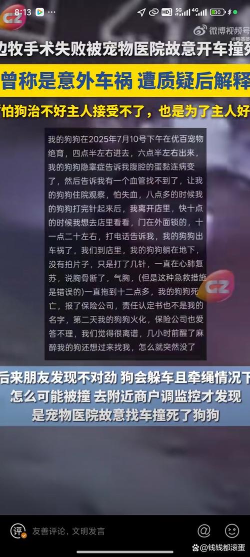 编汽车8杀谣言被查,