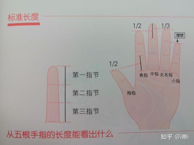 长12根手指自称灵活,细长的手指会灵活吗?