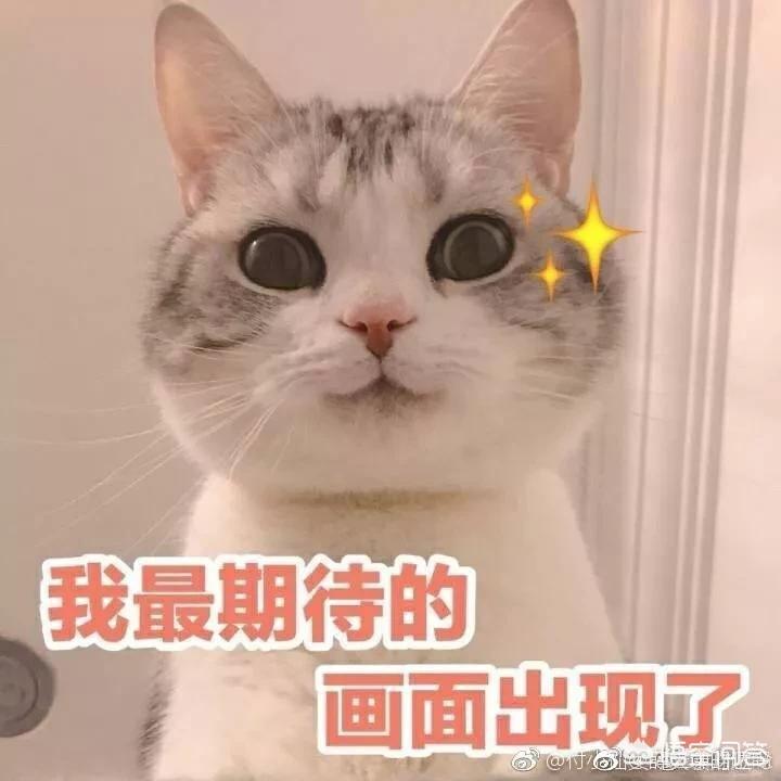 老师当学生面踩死猫,猫踩人为什么那么疼？