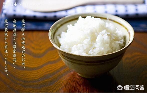 日本将进口美国大米,请问从日本带大米回中国可以吗?谢谢? 日本将进口美国大米,请问从日本带大米回中国可以吗?谢谢?