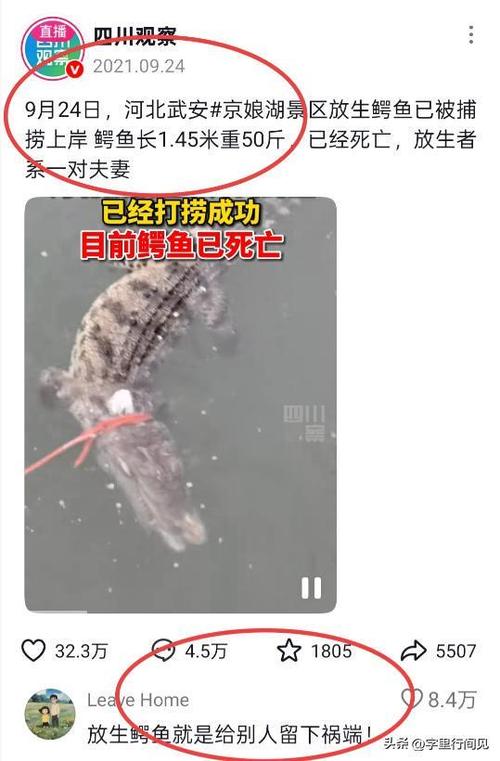 有人疑江边放生大米,自热米饭里可以放生鸡蛋吗?