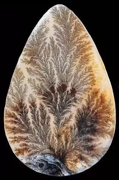 网红涉逃税仍直播,建议公示逃税主播名单视频