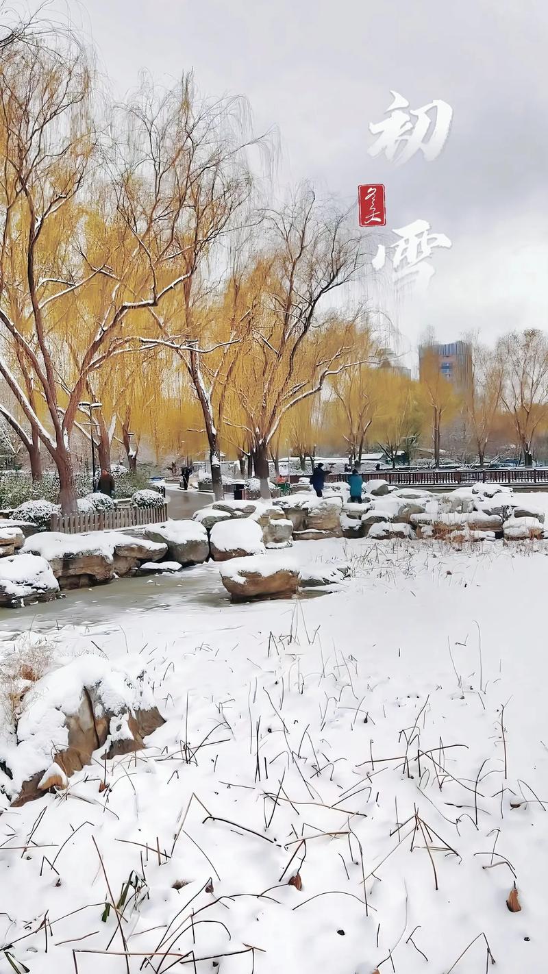 北京明天迎初雪,北京明天迎初雪图片