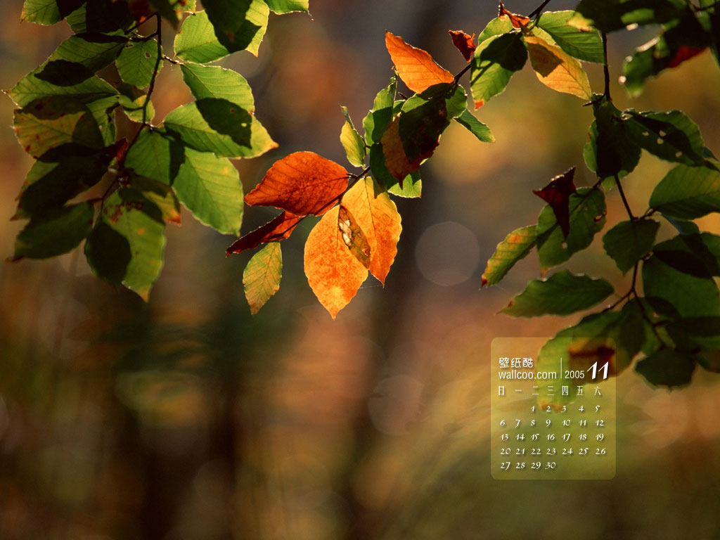 联合国厕所不再供纸,十一月、十二月有什么节日吗? 联合国厕所不再供纸,十一月、十二月有什么节日吗?