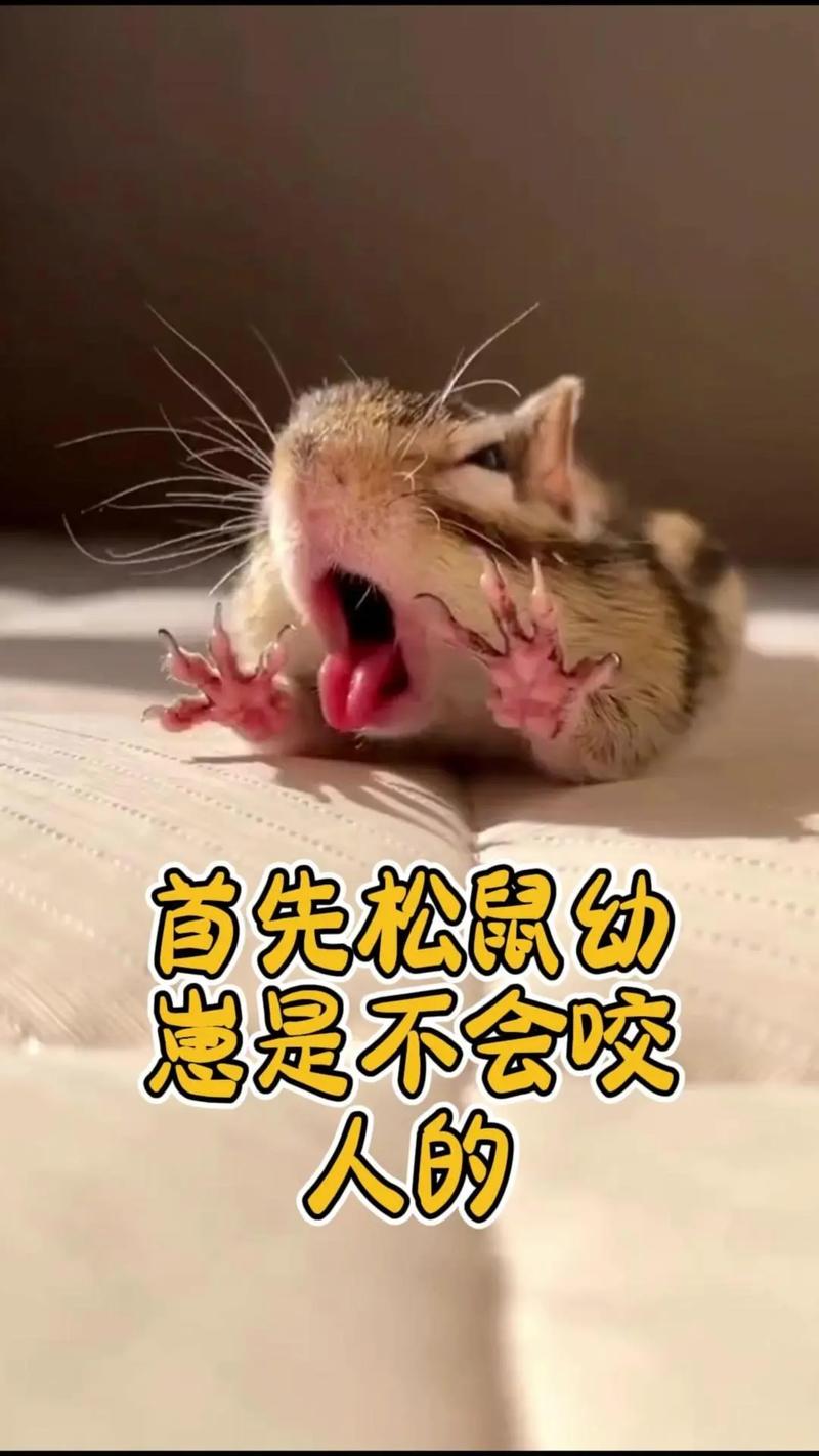 被窝钻进30厘米老鼠,老鼠会不会爬到床上咬人?