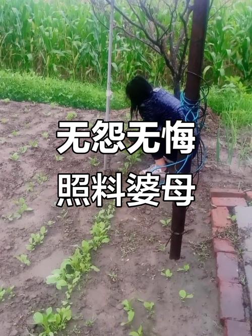 因怨偷婆婆43万花光,因怨偷婆婆43万花光了多少钱