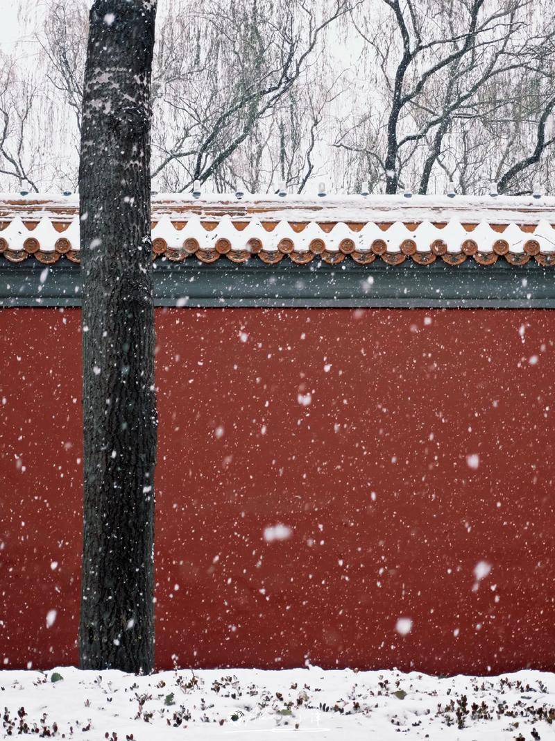 北京的雪下大了,北京冬天雪下的大吗?