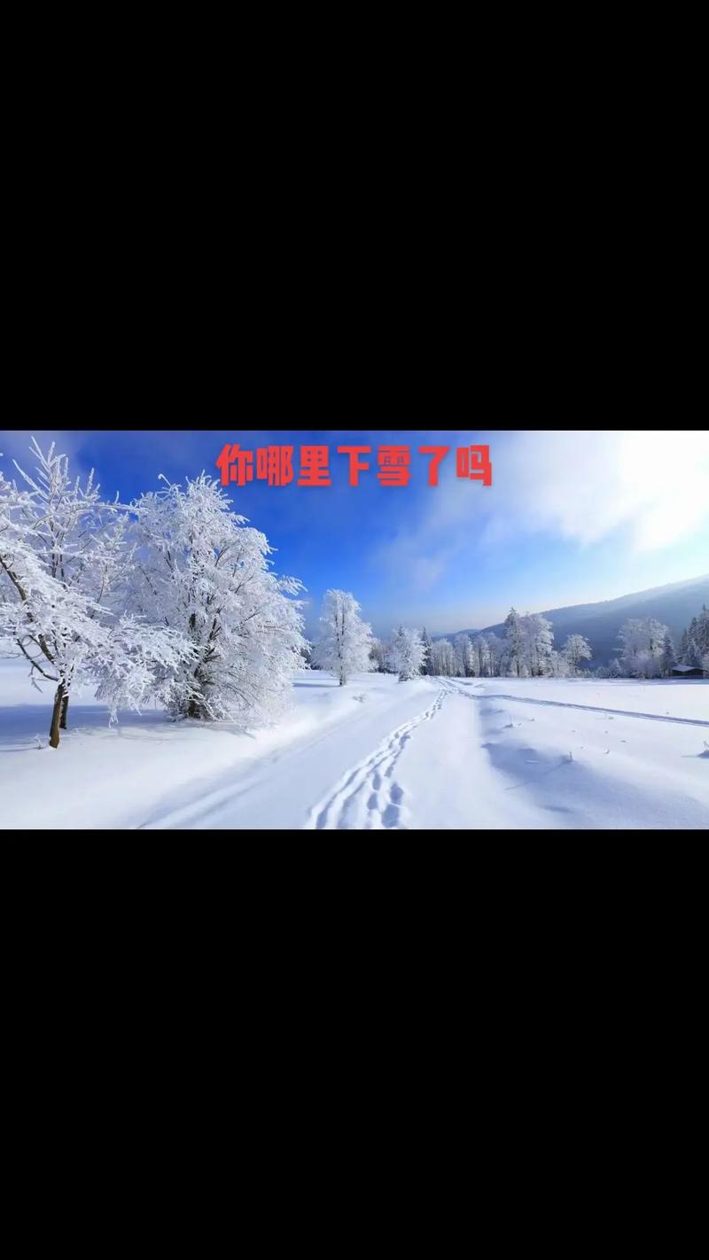 北京的雪下大了,北京的雪下大了是什么歌