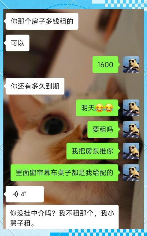 退租因2根猫毛被扣钱,租房猫毛太多
