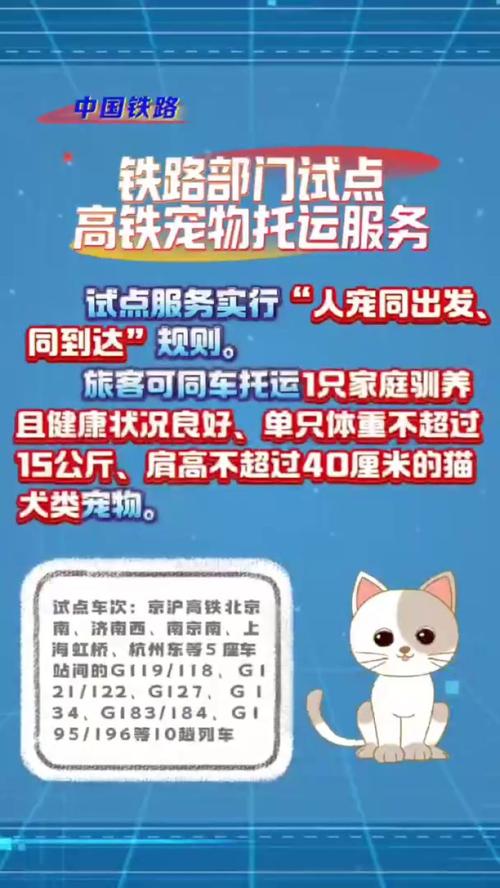 宠物鼠被带上高铁,坐动车组能不能带宠物仓鼠?
