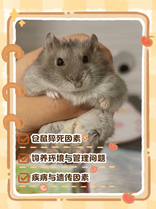 宠物鼠被带上高铁,带仓鼠上高铁被发现了会罚款吗?