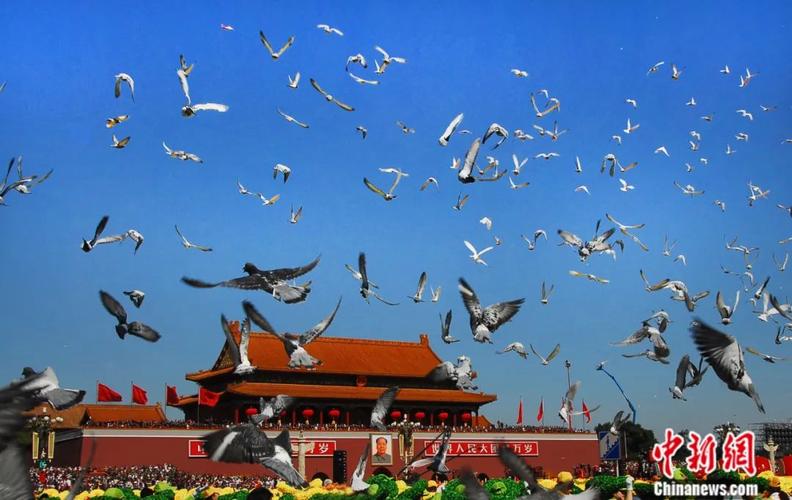 南京放飞3千羽和平鸽,请问沈阳市和平区南京三校教学质量好不好?