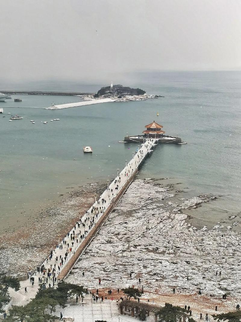 青岛下雪,青岛市区下雪了吗?