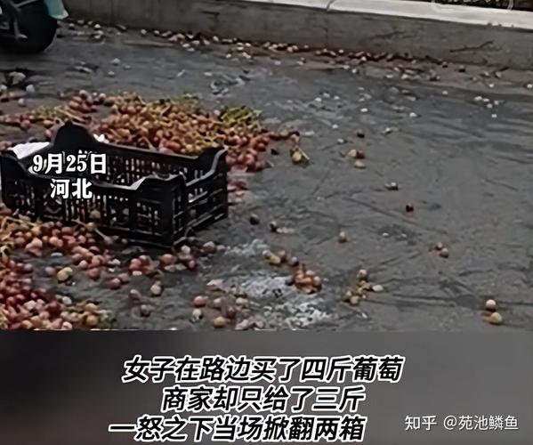 卖冰糖葫芦被掀摊,卖冰糖葫芦建议和忠告?