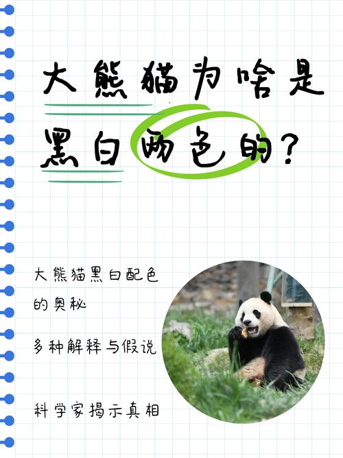 日本想继续养大熊猫,请问咱中国送给小日本的两个熊猫分别叫什么?