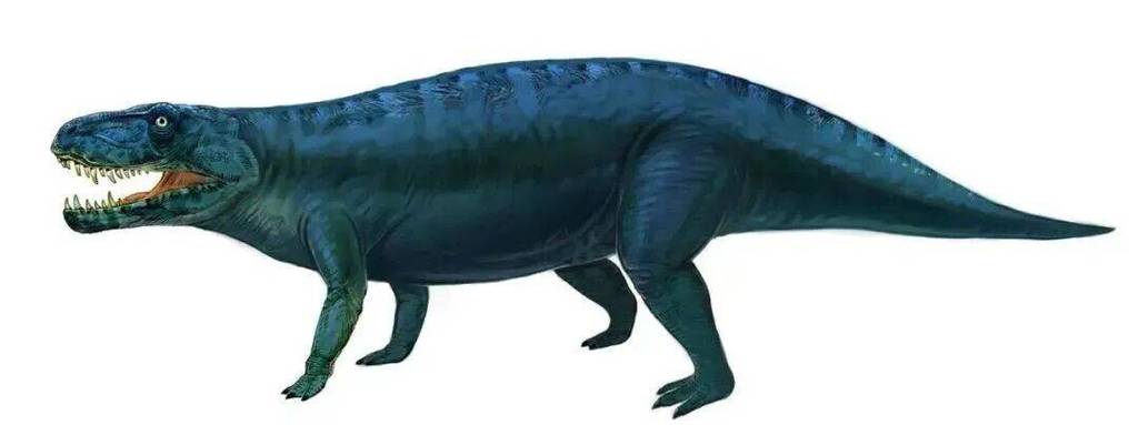 惊现2万恐龙足迹,惊现2万恐龙足迹视频