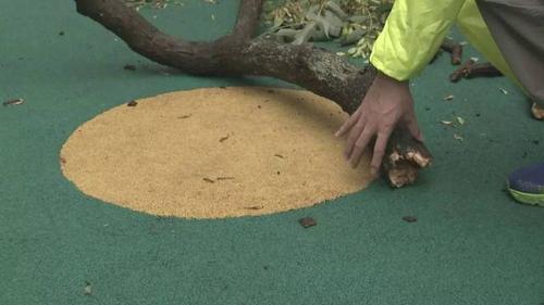 单元门掉落砸伤2老人,73岁老人工地干活被砸伤怎么赔偿?