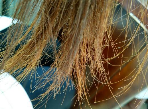 头发开叉其实是病,头发分叉的原因和解决方法？