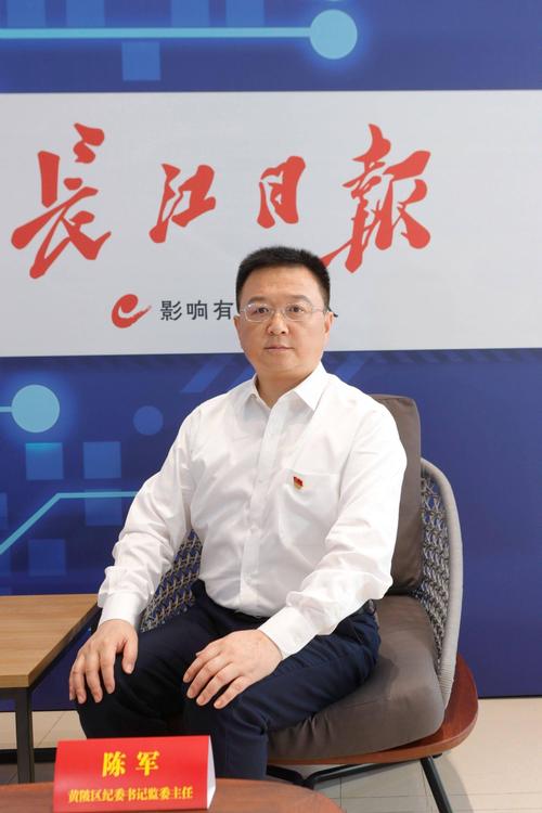 湖北严肃问责185人,湖北严肃问责185人名单