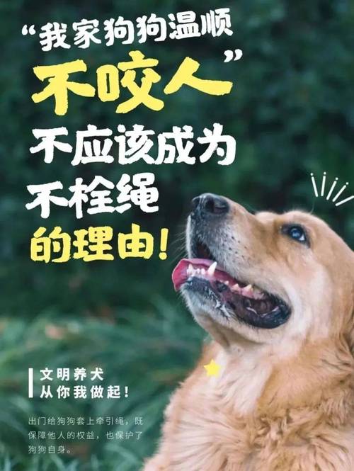 史上最严养犬新规,史上最严养犬新规定是什么