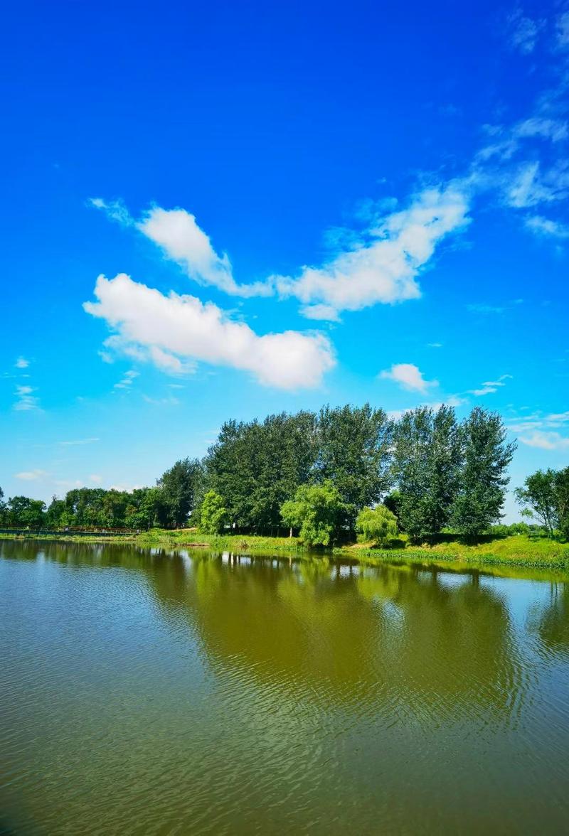 湿地公园现白色泡沫,铁岭新区莲花湖湿地有几个景点?