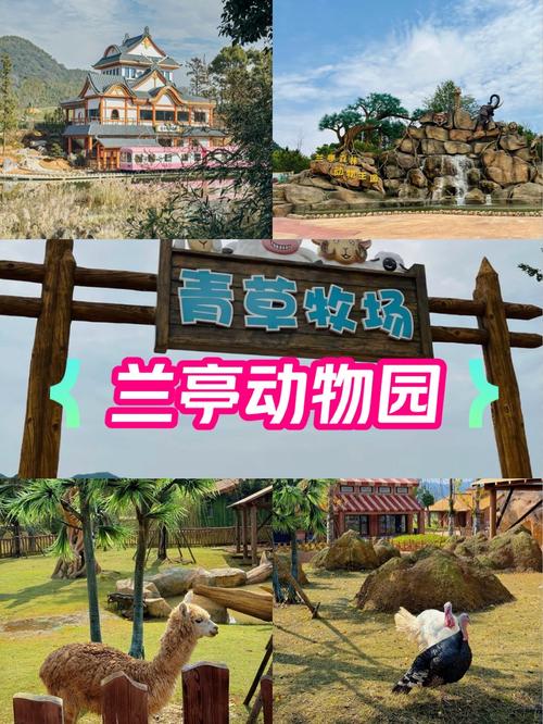 别墅遭侵占养鸡鸭,别墅养鸡合法吗