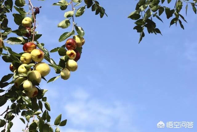 中国也是你的家,中国也是你的家英文 中国也是你的家,中国也是你的家英文