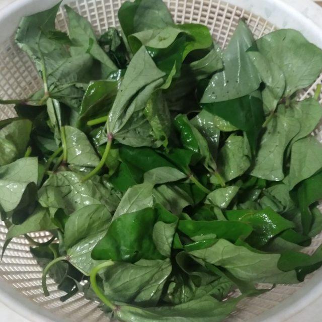 爱烤红薯的人天塌了,爱吃烤红薯