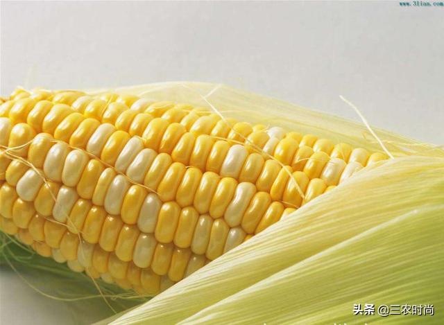 育补发放超2400万人,北京寄宿小学学费多少? 育补发放超2400万人,北京寄宿小学学费多少?