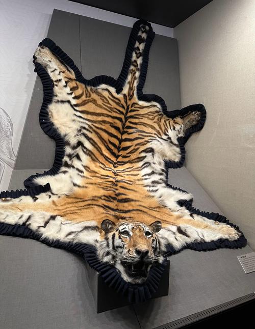 印阅兵式现动物方队,什么动物的脚印四只印?