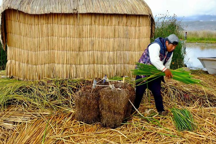 秘鲁火车对撞致1死,秘鲁寒流对附近陆地的影响是什么?