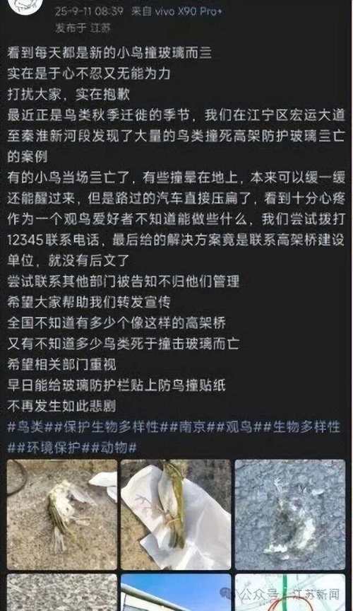 装1500斤玻璃被压死,一只鸟撞死在重庆自然博物馆的玻璃窗上,后果会怎样?