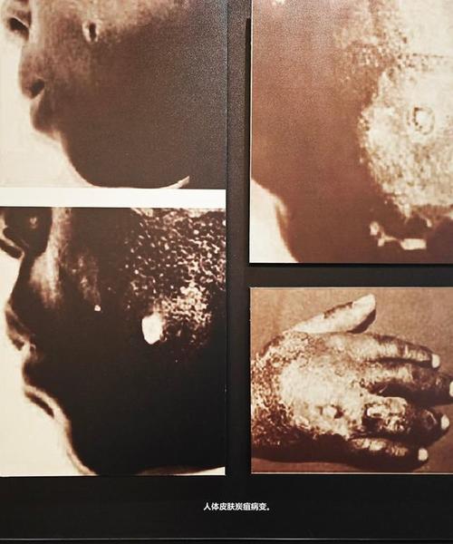 俄重列14名日本战犯,俄罗斯日本战犯